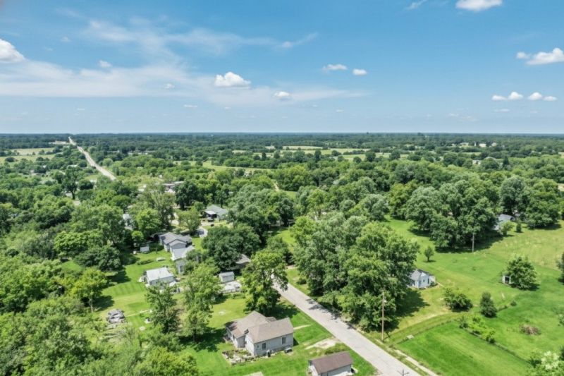 Monstera Planting detail
